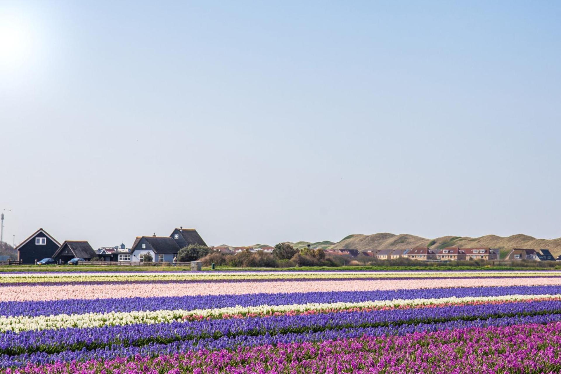 Beach Appartement 14 - Aan De Duinen, Callantsoog Aan Zee Екстериор снимка